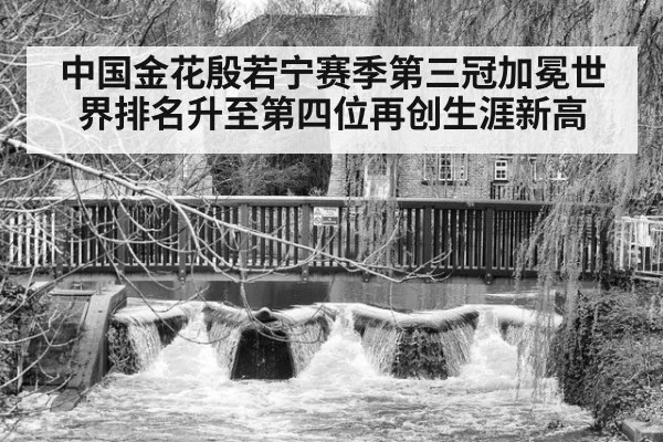 中国金花殷若宁赛季第三冠加冕世界排名升至第四位再创生涯新高