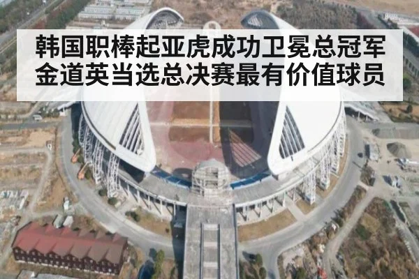 韩国职棒起亚虎成功卫冕总冠军金道英当选总决赛最有价值球员