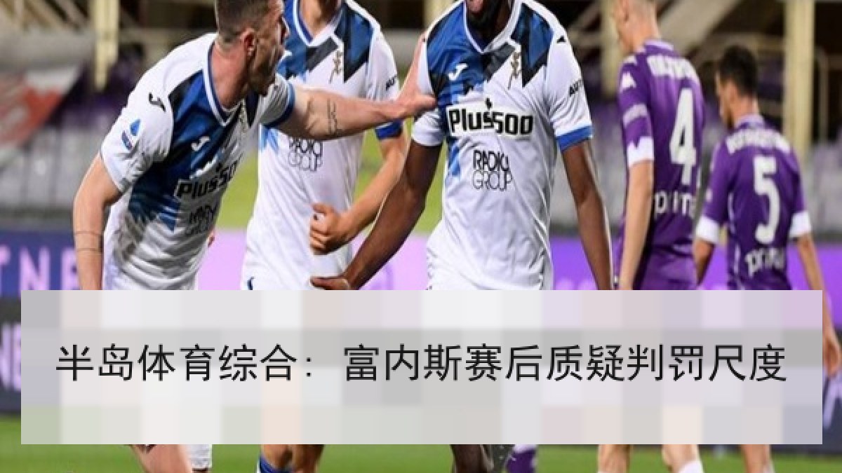 半岛体育综合: 富内斯赛后质疑判罚尺度